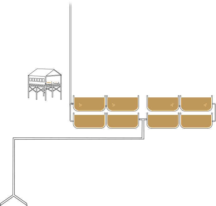 Production process fermentation